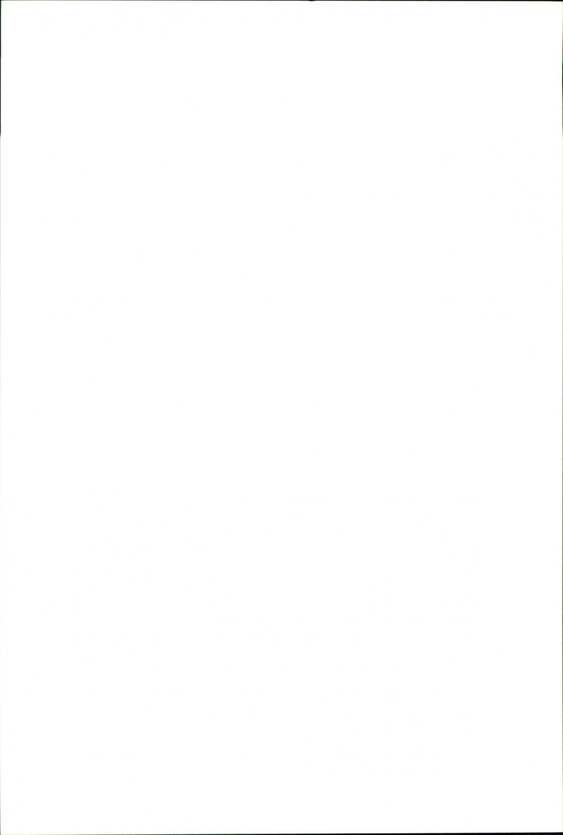 Animal: Sheep - Vintage Photograph