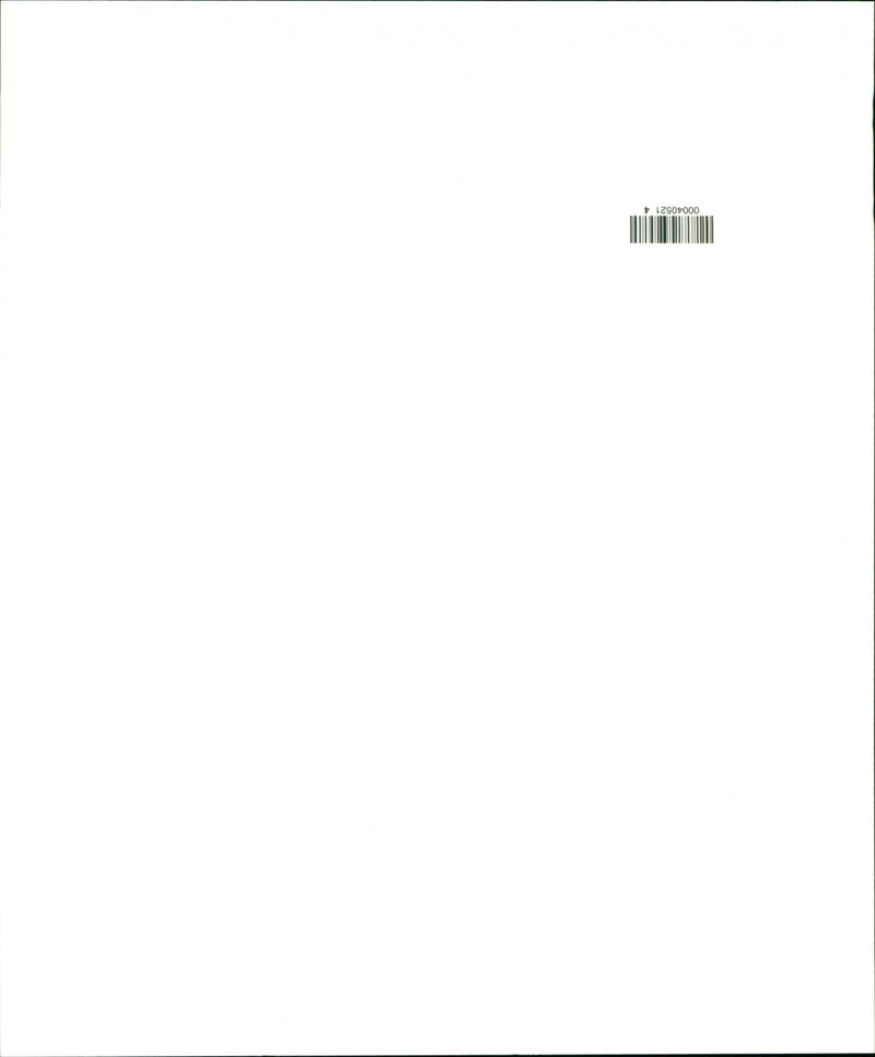 Animal: Sheep - Vintage Photograph