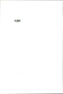 Animal: Sheep - Vintage Photograph