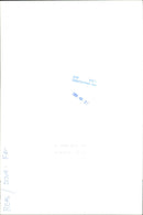 Animal: Sheep - Vintage Photograph