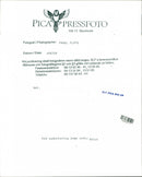 Animal: Sheep - Vintage Photograph