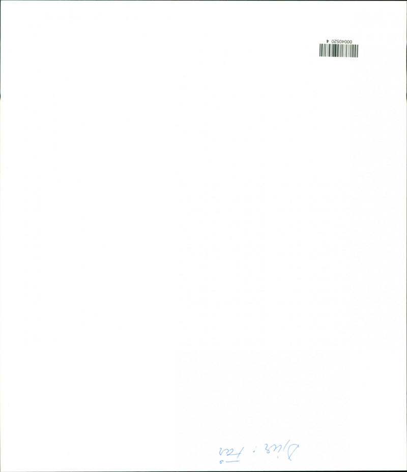 Animal: Sheep - Vintage Photograph