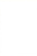 Animal: Sheep - Vintage Photograph