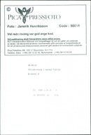 Animal: Sheep - Vintage Photograph