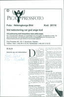 Animal: Sheep - Vintage Photograph