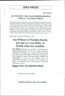 Animal: Sheep - Vintage Photograph