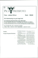 Animal: Sheep - Vintage Photograph