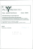 Animal: Sheep - Vintage Photograph