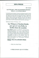 Animal: Sheep - Vintage Photograph