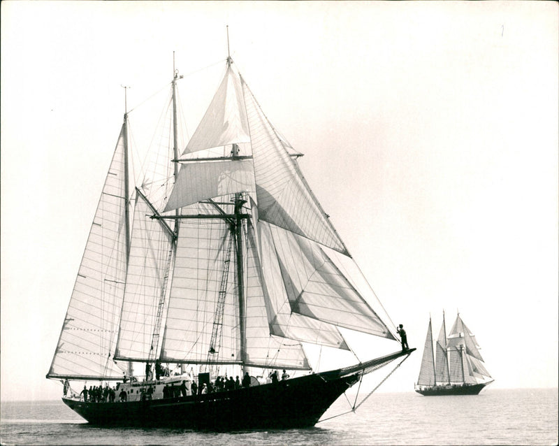 Sealing ships - Vintage Photograph