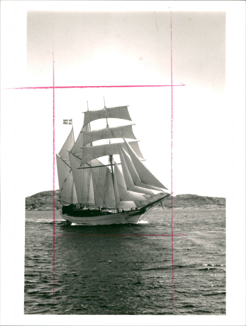 Sealing ships, Pleasure hunting for liquid. - Vintage Photograph