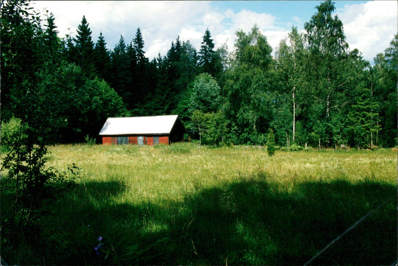 House & Home, Villa - Vintage Photograph