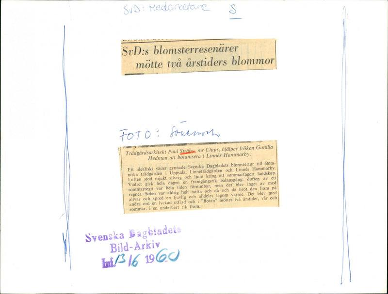 1960 WEER SVDS DAGBLADETS LANDSCAPE SMELL HAMMARBY HELPPER PAUL - Vintage Photograph