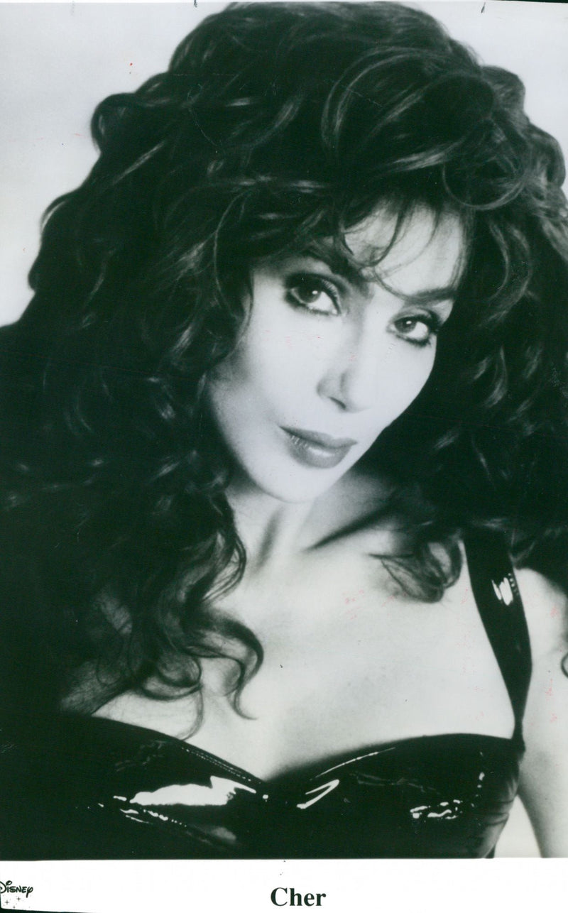 American singer Cher - Vintage Photograph