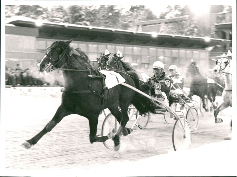 Olle Goop, trot driver. - Vintage Photograph