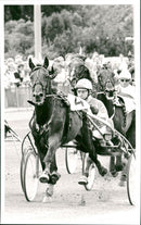 Tommy Hanne - Vintage Photograph