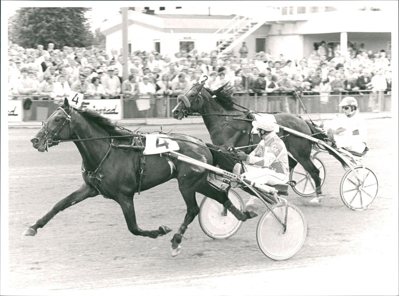 Tommy Hanne - Vintage Photograph