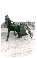 Tommy Hanne - Vintage Photograph