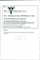 Company Volvo AB - Vintage Photograph