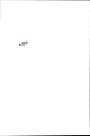 Volvo Aero - Vintage Photograph