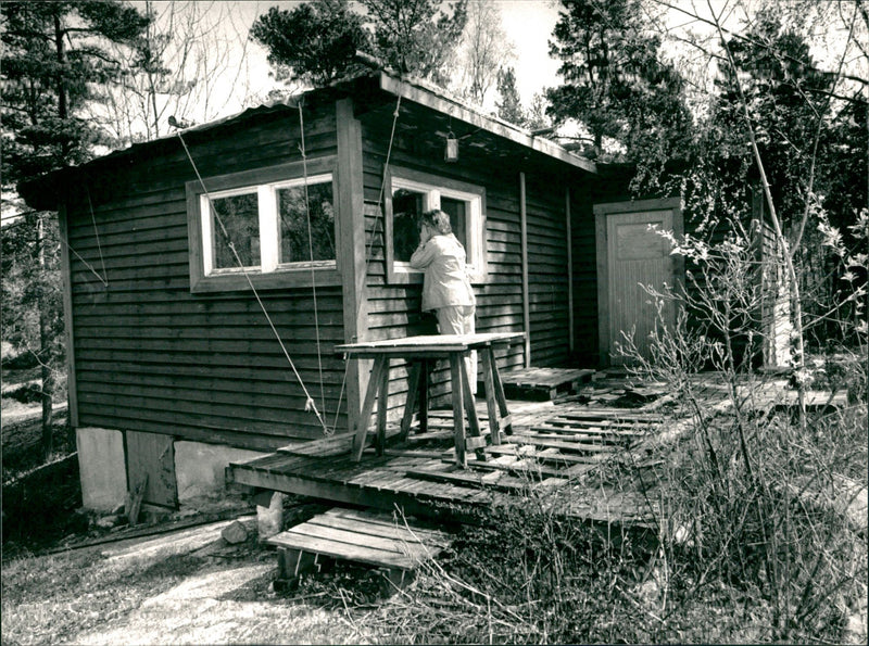 1988 BUT WHERE CABIN INGARO HOMES ONLY CROWNS TRUE NATURE VERA - Vintage Photograph