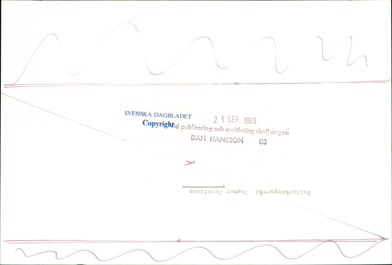 Ingemar Josefsson, politician - Vintage Photograph