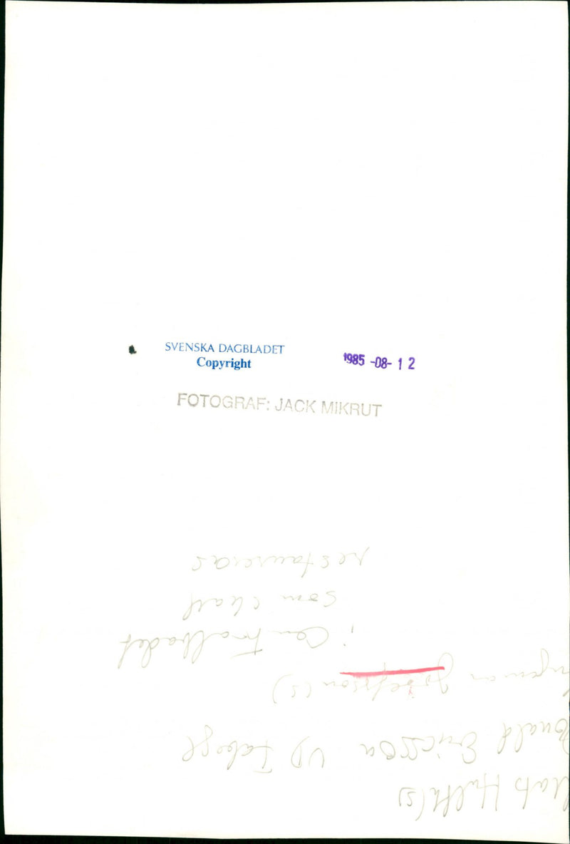 Ingemar Josefsson, politician - Vintage Photograph