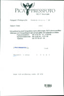 DESK IMAGE DELIVERY BLFS NATURE CODE AND SCRATCH - Vintage Photograph