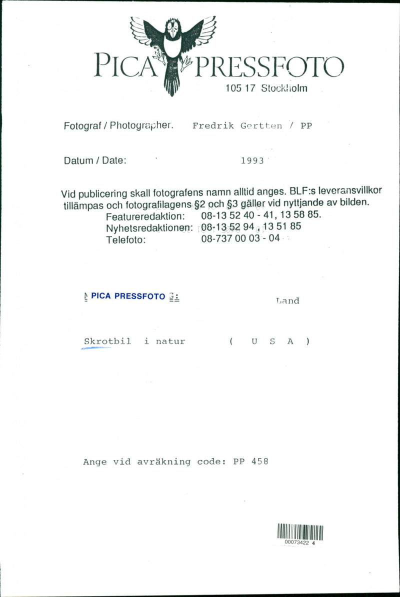 DESK IMAGE DELIVERY BLFS NATURE CODE AND SCRATCH - Vintage Photograph