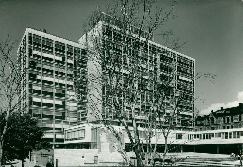 Stockholm School of Work for homework and professional sewing: Vocational School. - Vintage Photograph