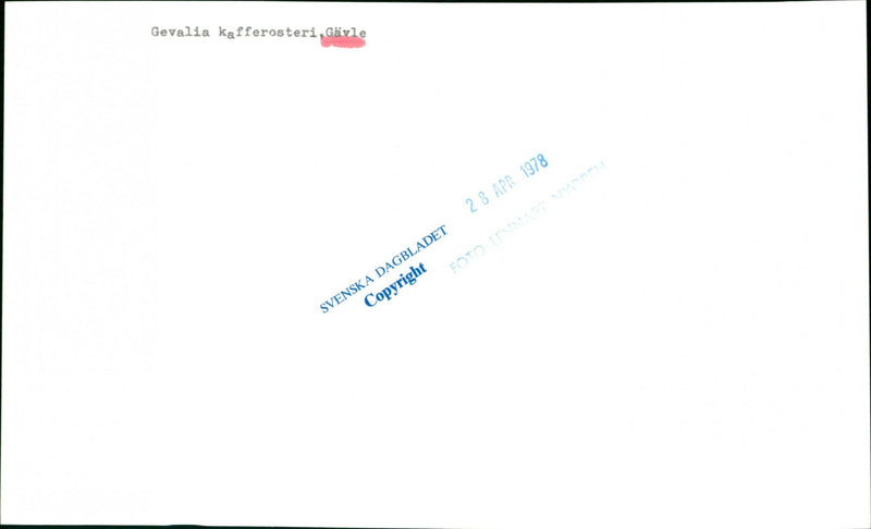 1978 WHAT COFFEE STANDS SWEDISH NATURE GEVA GEVALIA TO NATURVARD - Vintage Photograph