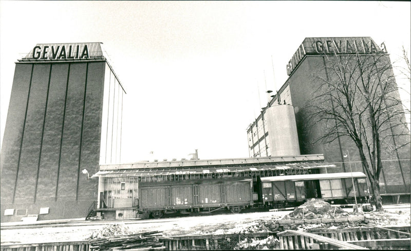 1978 WHAT COFFEE STANDS SWEDISH NATURE GEVA GEVALIA TO NATURVARD - Vintage Photograph
