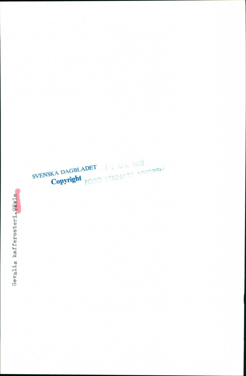 WHAT COFFEE STANDS SWEDISH NATURE GEVA GEVALIA TIL NATURVARD - Vintage Photograph