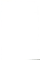 Beauty Queens - Vintage Photograph