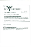 Miss Sweden selection 1995 - Vintage Photograph