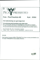 Miss Annika Duckmark from Västergötland Crowned as Miss Sweden 1996 in Stockholm - Vintage Photograph