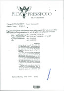 Helmut Kohl, politician West Germany. - Vintage Photograph