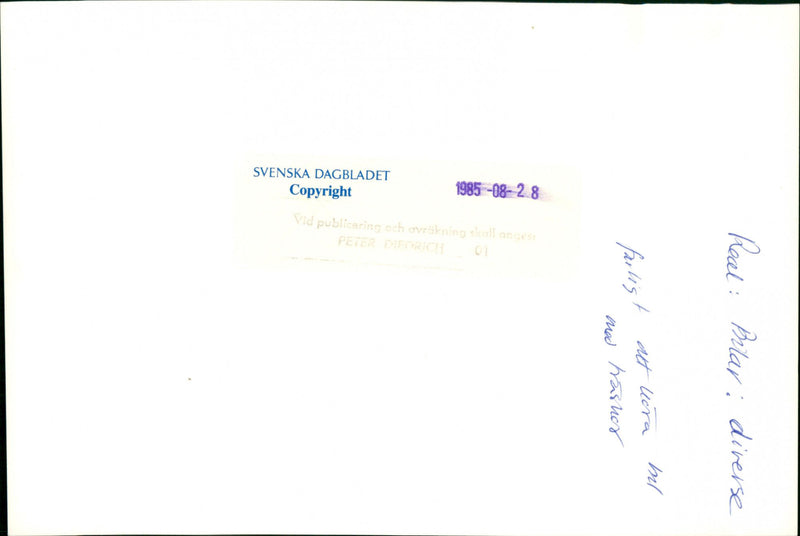 Cars Miscellaneous. - Vintage Photograph