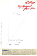 Cars Miscellaneous, Leyland - Vintage Photograph