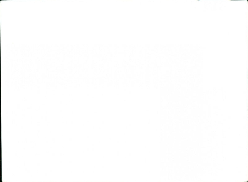 Cars Miscellaneous. - Vintage Photograph