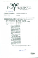 Telephone, Various devices and models. - Vintage Photograph