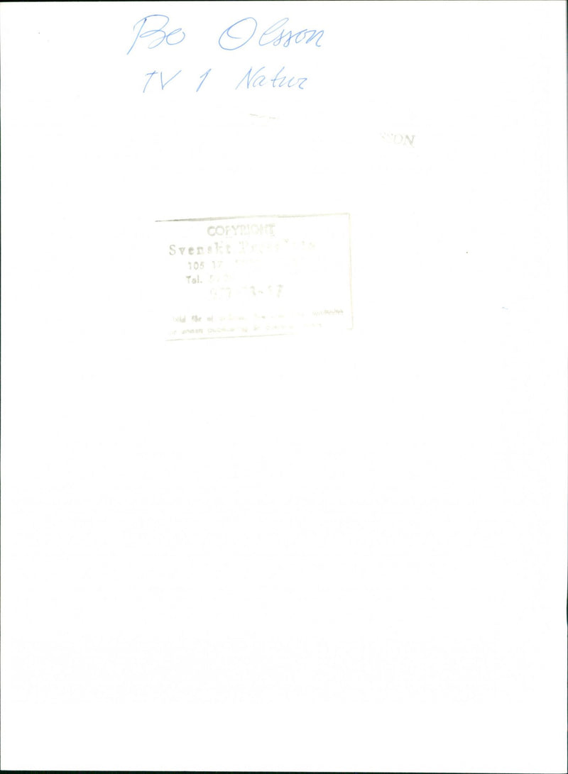 ESSON COPYTI TOLL NATURE SVERST - Vintage Photograph