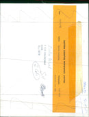 DAVID MUSICIAN - Vintage Photograph