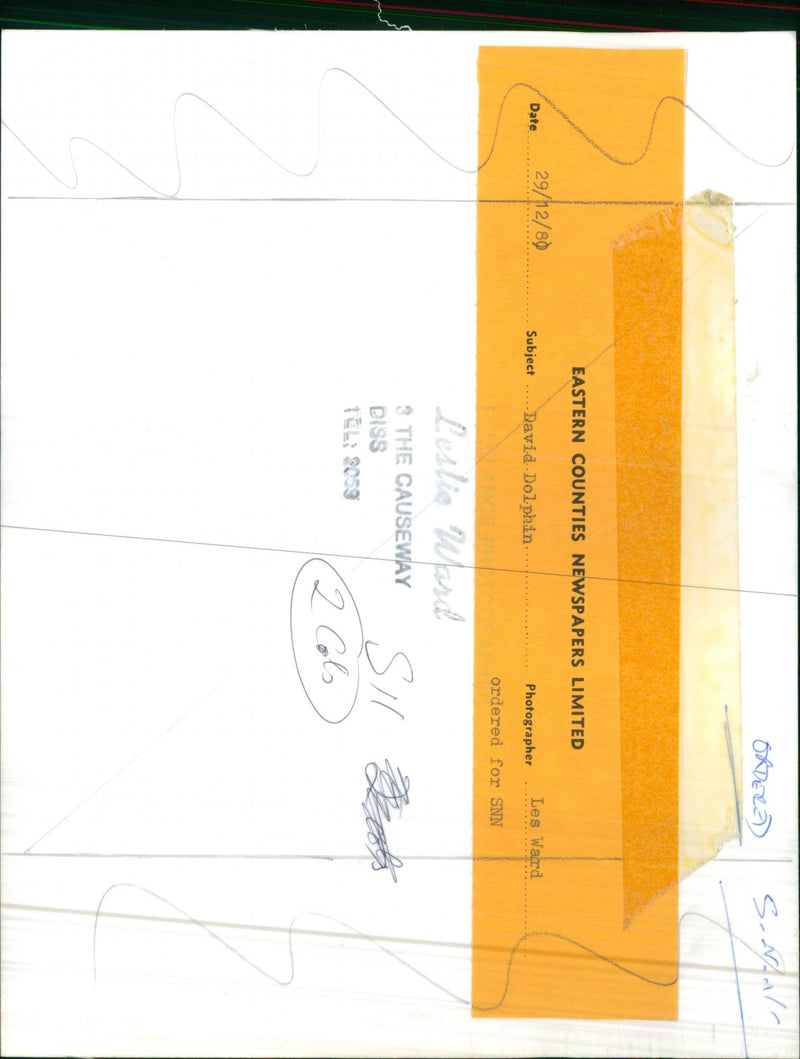 DAVID MUSICIAN - Vintage Photograph