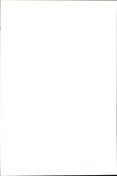 Animal: Dolphins - Vintage Photograph