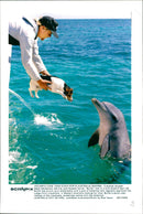 Animal: Dolphins - Vintage Photograph