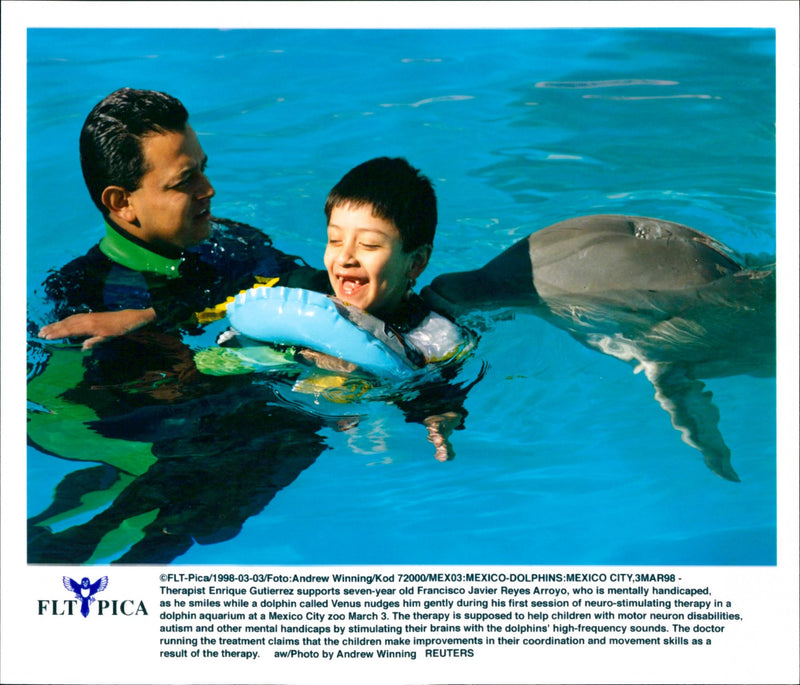 Animal: Dolphins - Vintage Photograph