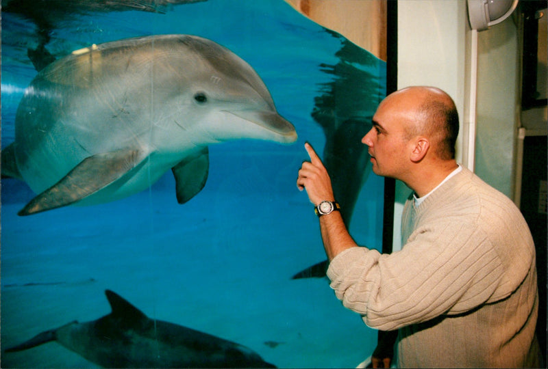 Animal: Dolphins - Vintage Photograph