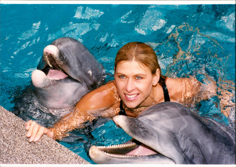 Animal: Dolphins - Vintage Photograph