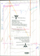 Per Olof Sundman, politician and writer. - Vintage Photograph